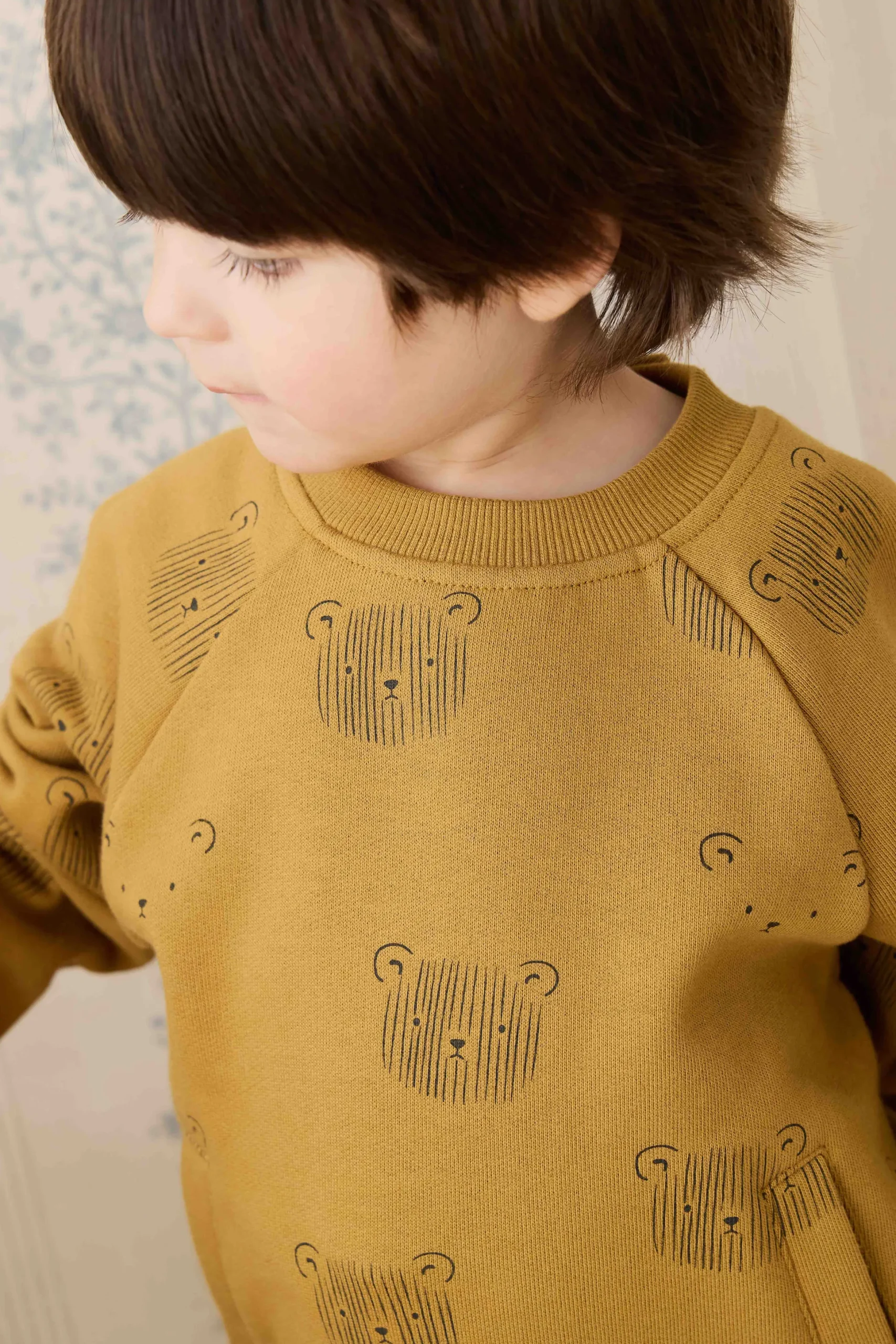 Organic Cotton Henry Sweatshirt - Buckwheat Teddy Face