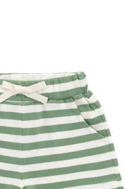 Pima Cotton Wesley Short - Essential Stripe Parchment/Snow Pea