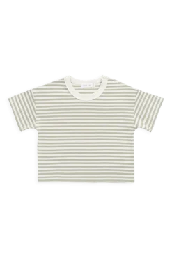 Pima Cotton Wesley Tee - Narrow Stripe Lichen / Cloud