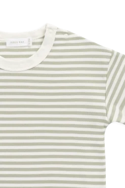 Pima Cotton Wesley Tee - Narrow Stripe Lichen / Cloud