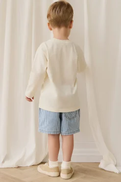 Reid Denim Short - Holiday Stripe