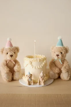 Snuggle Bunnies - Birthday Arthur - Sky